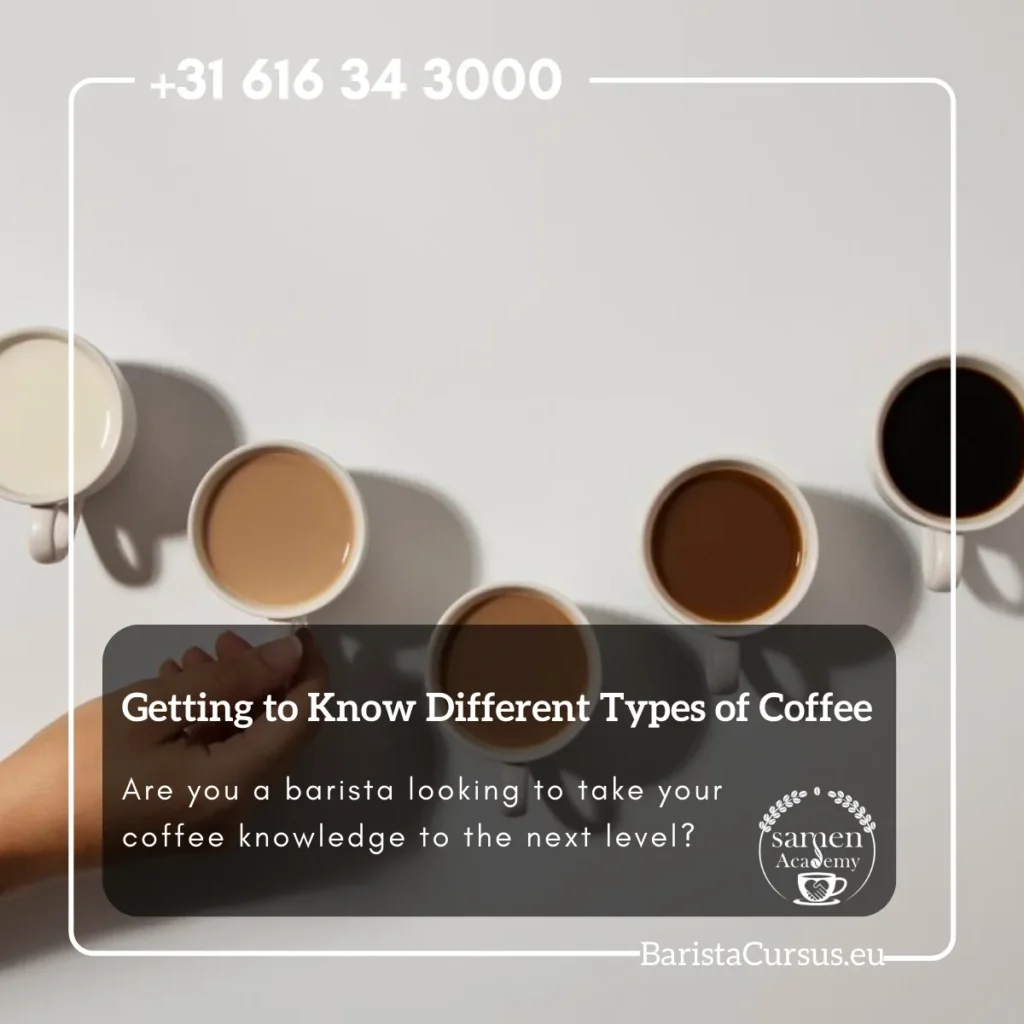 Getting to Know Different Coffee Types